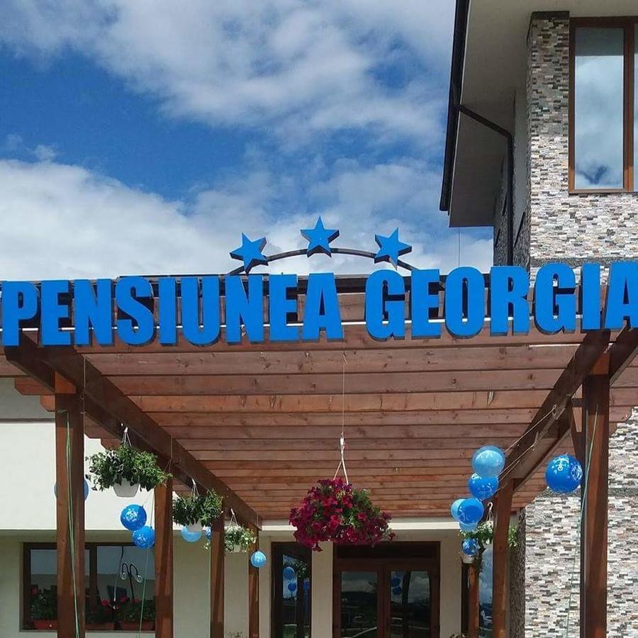 Pensiunea Georgia Lunguletu Exterior photo